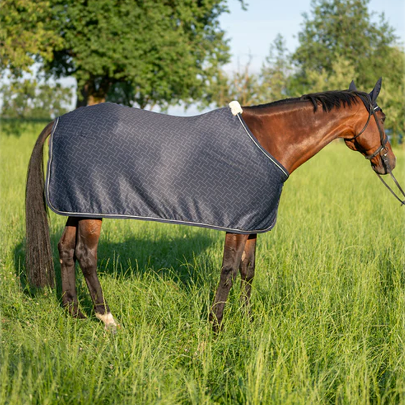 Tommy Hilfiger Windsor Light And Dry TH Printed Rug - Desert Sky-1