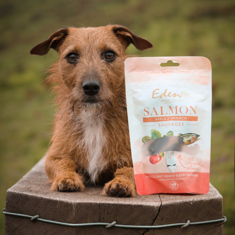 Eden Salmon Apple And Spinach Sausages - 10 Pack-1