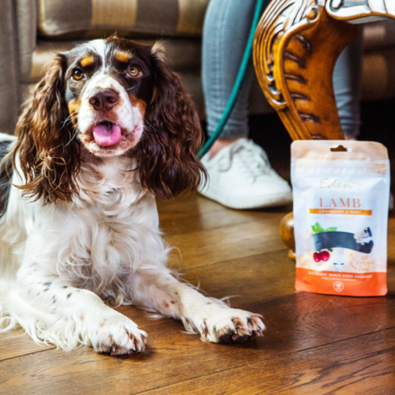 Eden Lamb Cranberry And Mint Sausages - 5 Pack-1