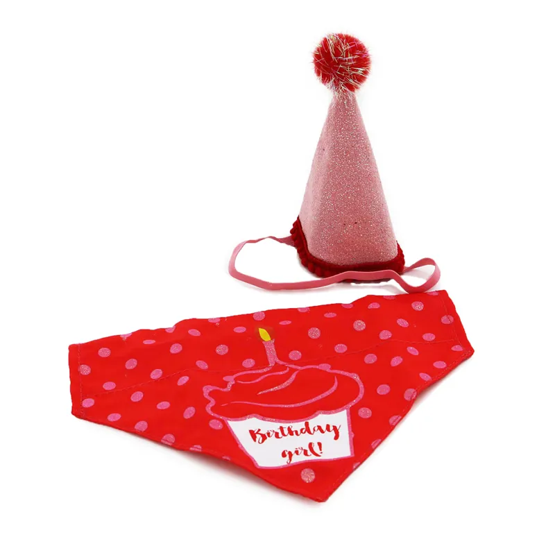 Ancol Pawty Time Party Hat And Bandana Set - Pink