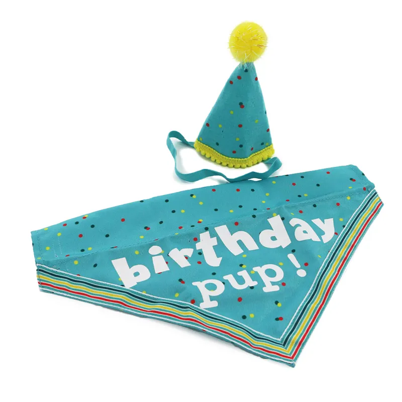 Ancol Pawty Time Party Hat And Bandana Set - Blue
