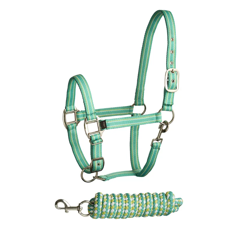 Bitz Stripe Two Tone Headcollar and Leadrope Set - Aqua/Lime