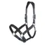 LeMieux Capella Headcollar - Petrol