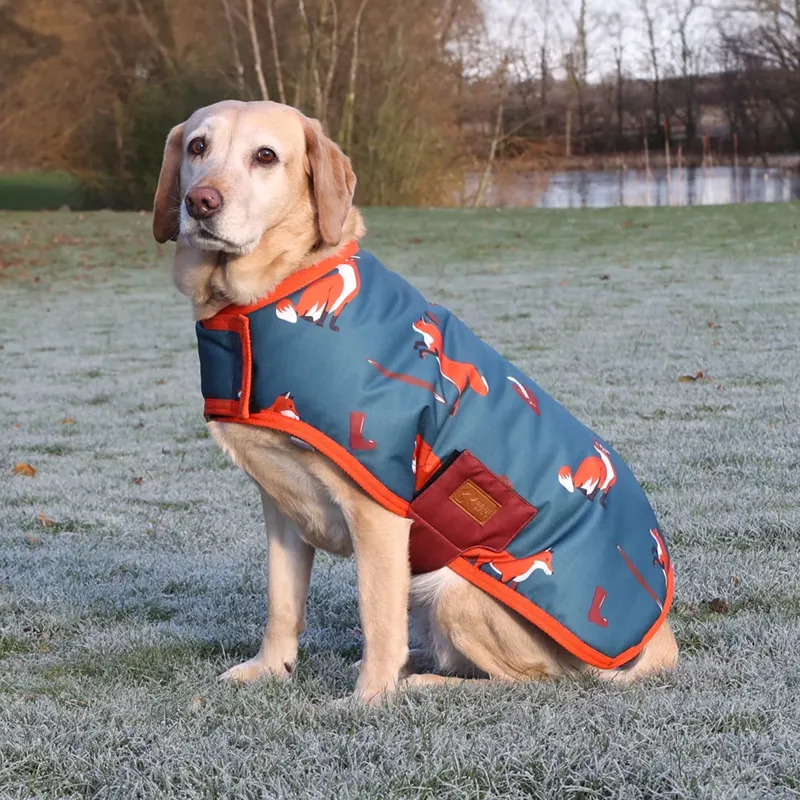 Benji And Flo Frivolous Fox Dog Coat - Green/Red/Pumpkin