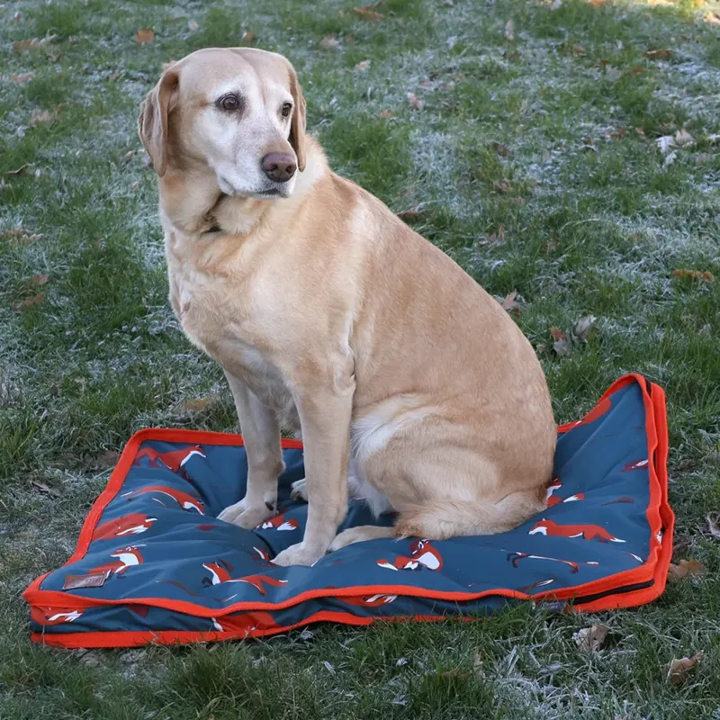 Benji And Flo Frivolous Fox Dog Bed - Green/Red/Pumpkin-1
