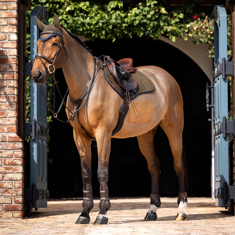 LeMieux Classic Fly Hood - Alpine-3