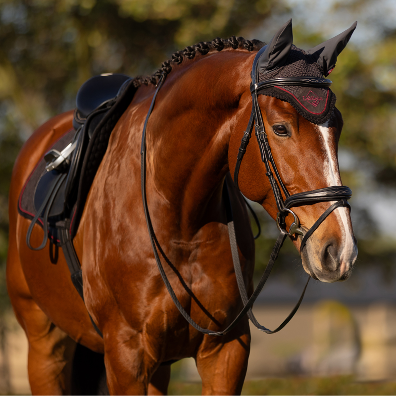 LeMieux Classic Fly Hood - Cinder-3