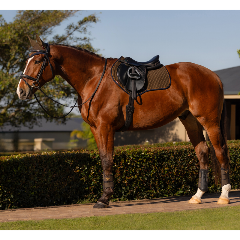 LeMieux Grafter Boots - Alpine-6