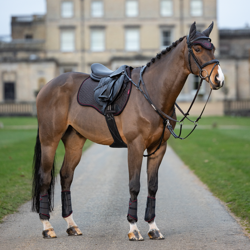 LeMieux Grafter Boots - Cinder-4