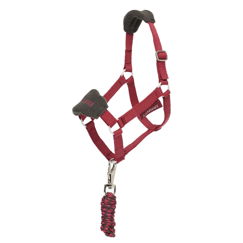 LeMieux Hobby Horse Vogue Headcollar - Ember