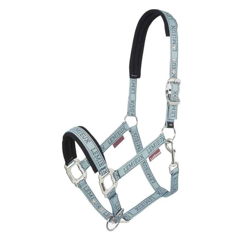 LeMieux Logo Headcollar - Glacier