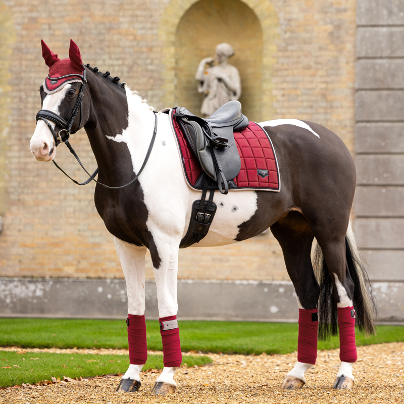 LeMieux Loire Fly Hood - Ember-7