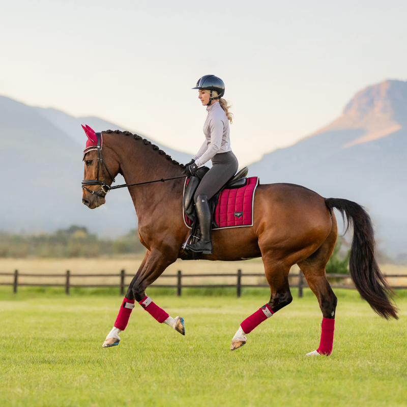 LeMieux Loire Classic Dressage Square - Ember-12
