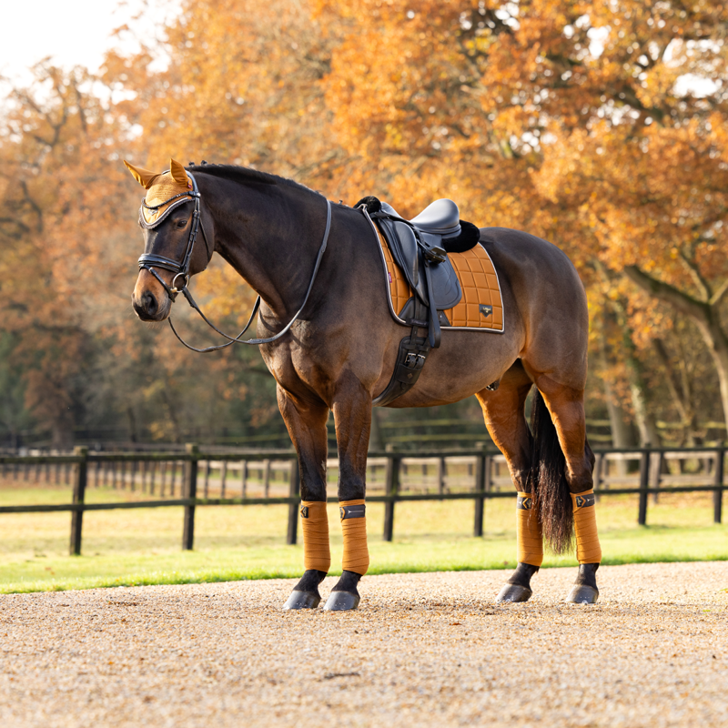 LeMieux Loire Classic Dressage Square - Ginger-4