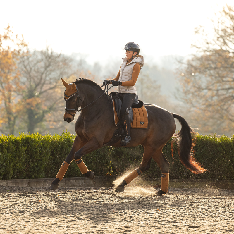 LeMieux Loire Fly Hood - Ginger-10