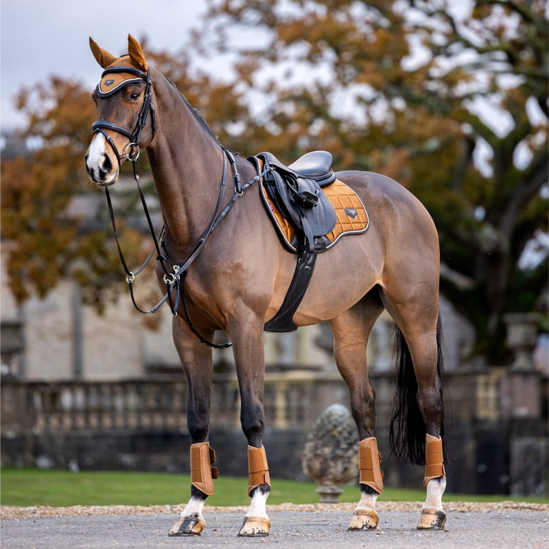 LeMieux Loire Classic GP Square - Ginger-4