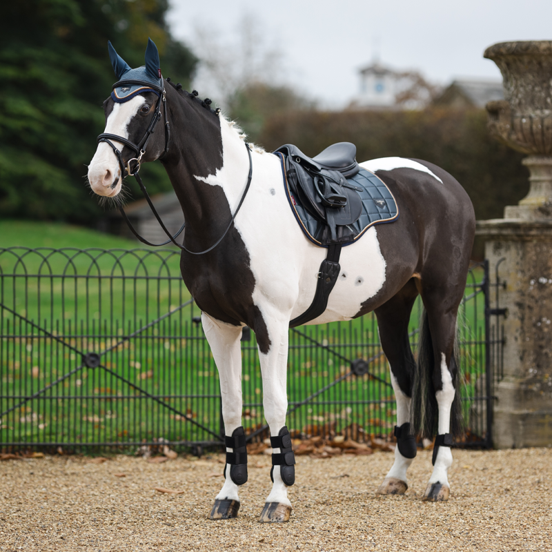 LeMieux Loire Classic GP Square - Petrol-4