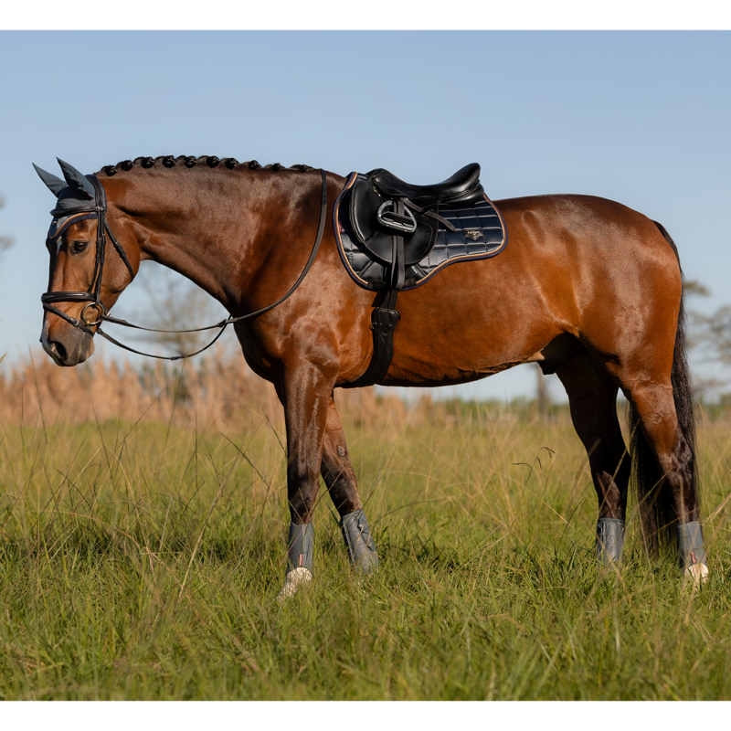 LeMieux Loire Classic GP Square - Petrol-2