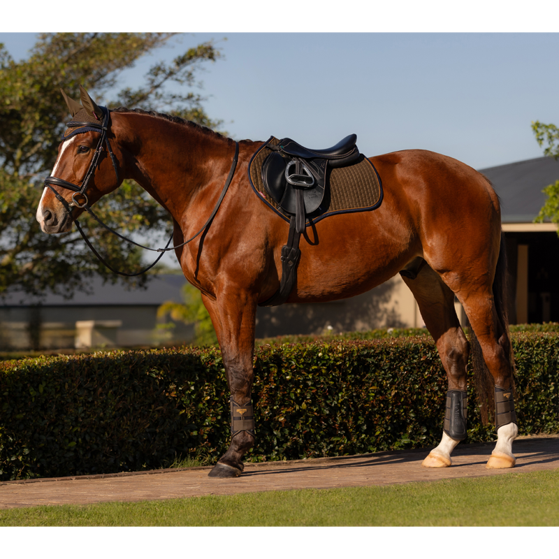 LeMieux Suede Close Contact Square - Alpine-2