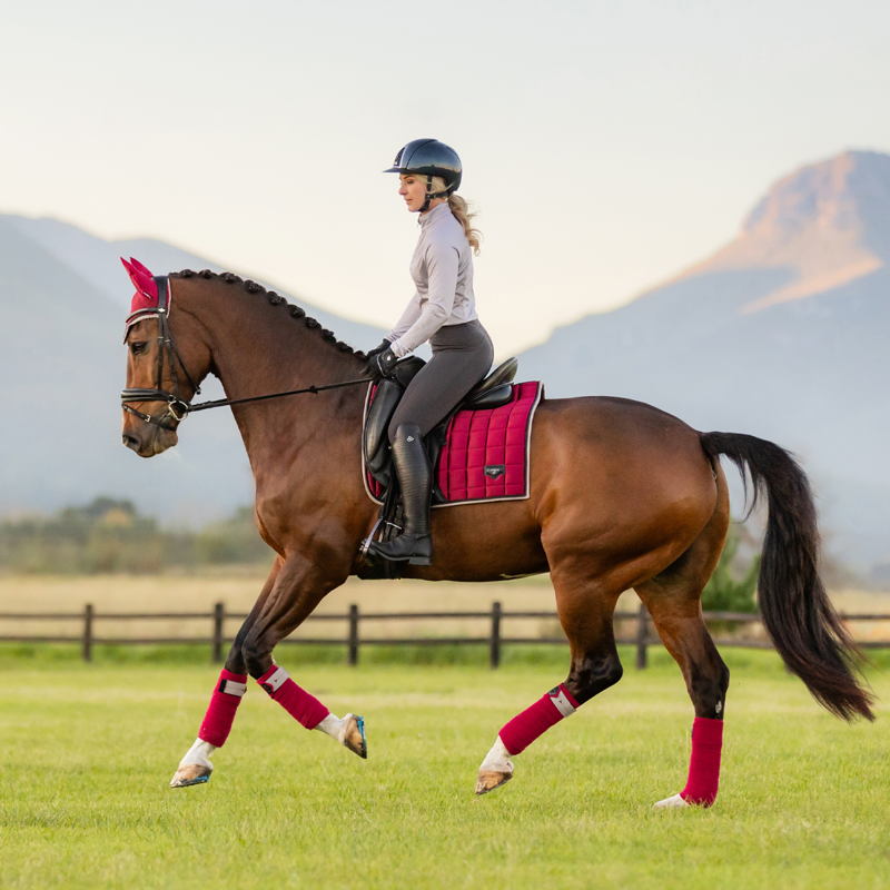 LeMieux Polo Bandages - Ember-5