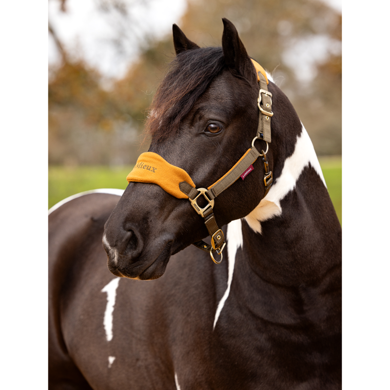 LeMieux Vogue Headcollar - Alpine-1