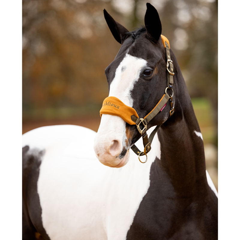 LeMieux Vogue Headcollar - Alpine-2