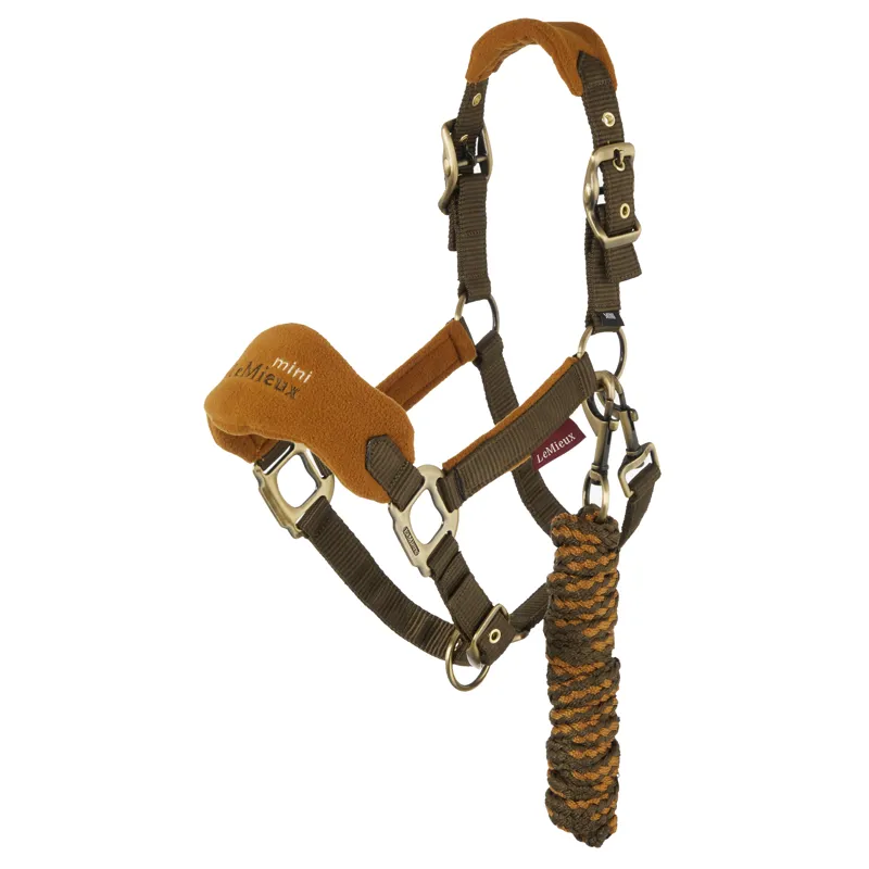 LeMieux Mini Vogue Headcollar - Alpine