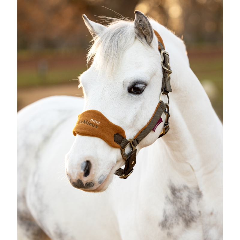 LeMieux Mini Vogue Headcollar - Alpine-1