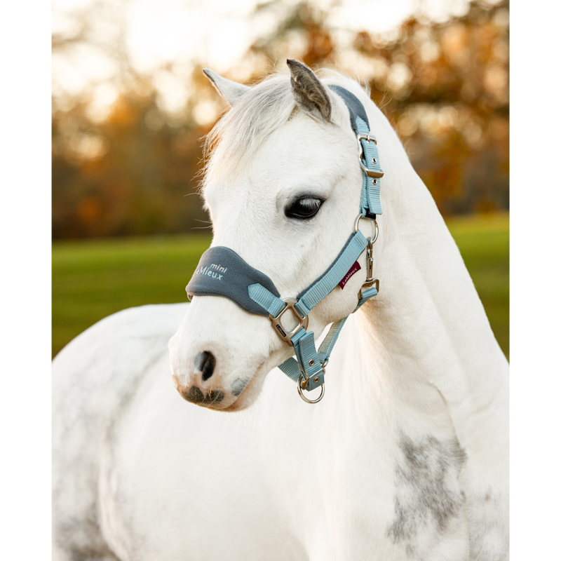 LeMieux Mini Vogue Headcollar - Glacier-1