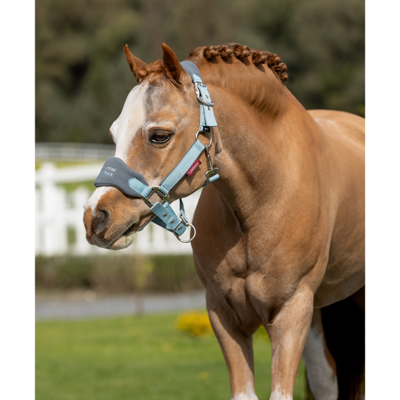 LeMieux Mini Vogue Headcollar - Glacier-2