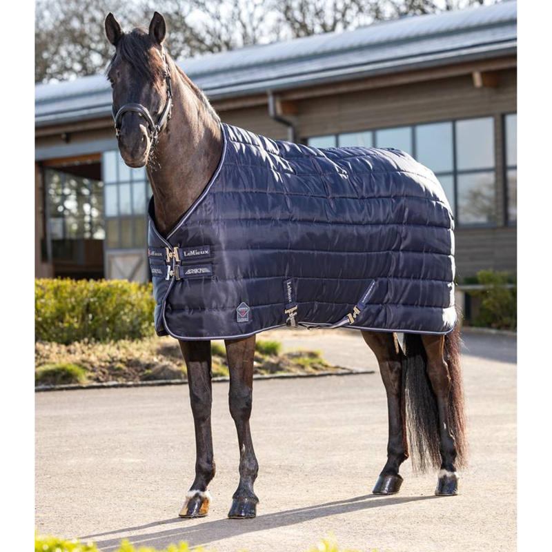 LeMieux Arika Stable-Tek 100g - Navy-1