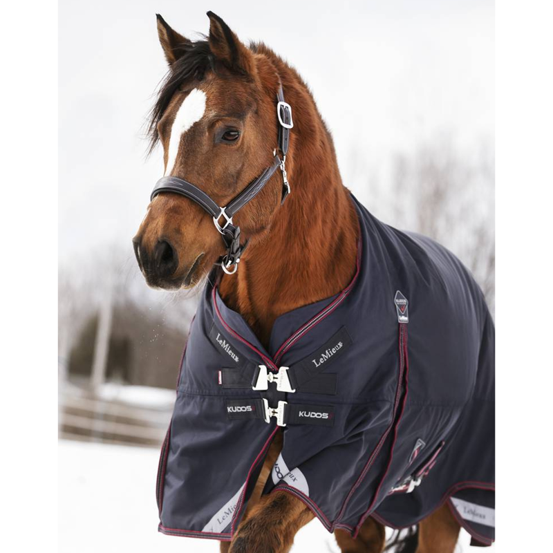 LeMieux Kudos Turnout Rug - 200g - Navy-2