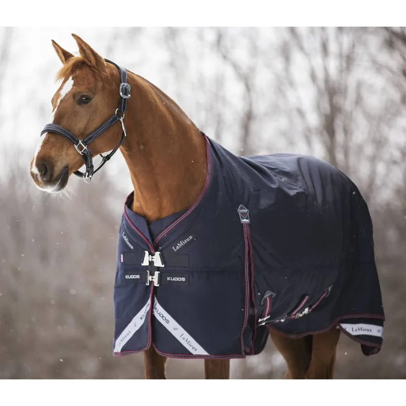 LeMieux Kudos Turnout Rug - 350g - Navy