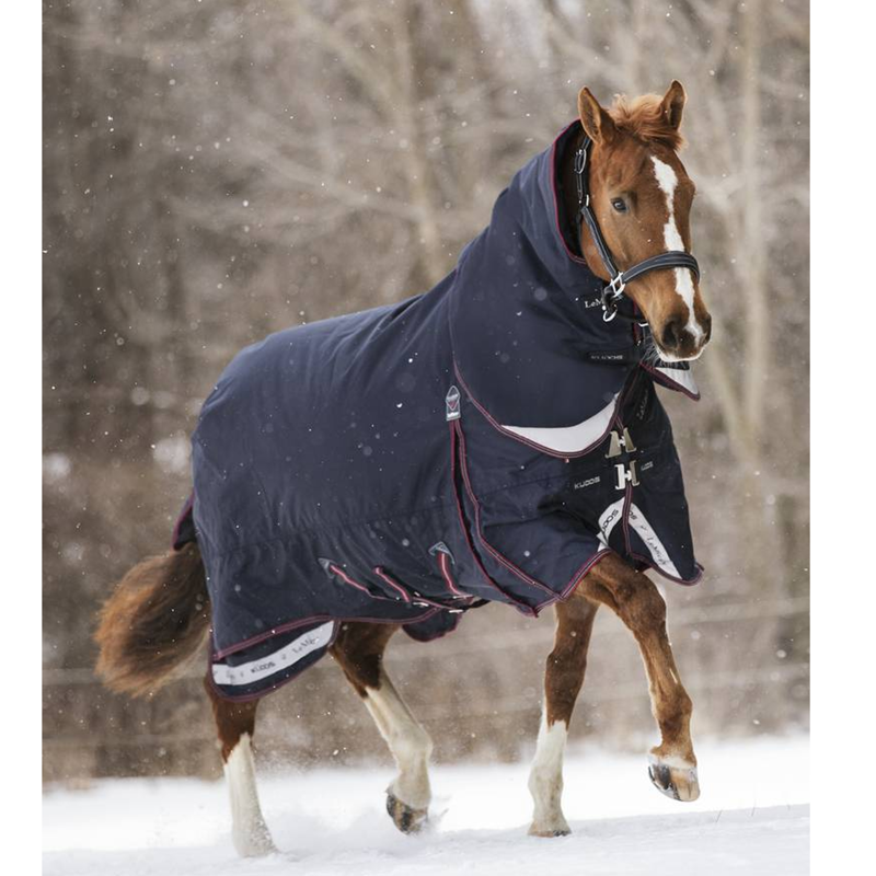 LeMieux Kudos Turnout Rug - 350g - Navy-1