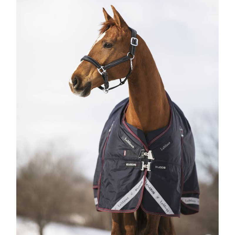 LeMieux Kudos Turnout Rug - 350g - Navy-2