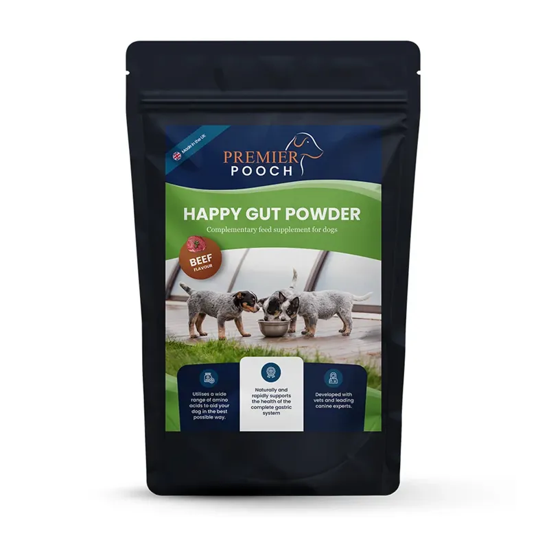 Premier Pooch Happy Gut Powder 300g - Beef