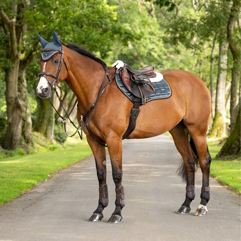 LeMieux Merino+ Loire Classic Close Contact Square - Petrol-1