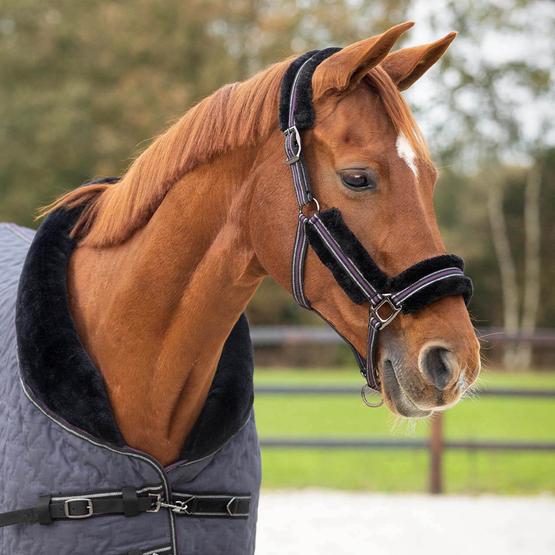 QHP Headcollar Set Fayen - Ash-2