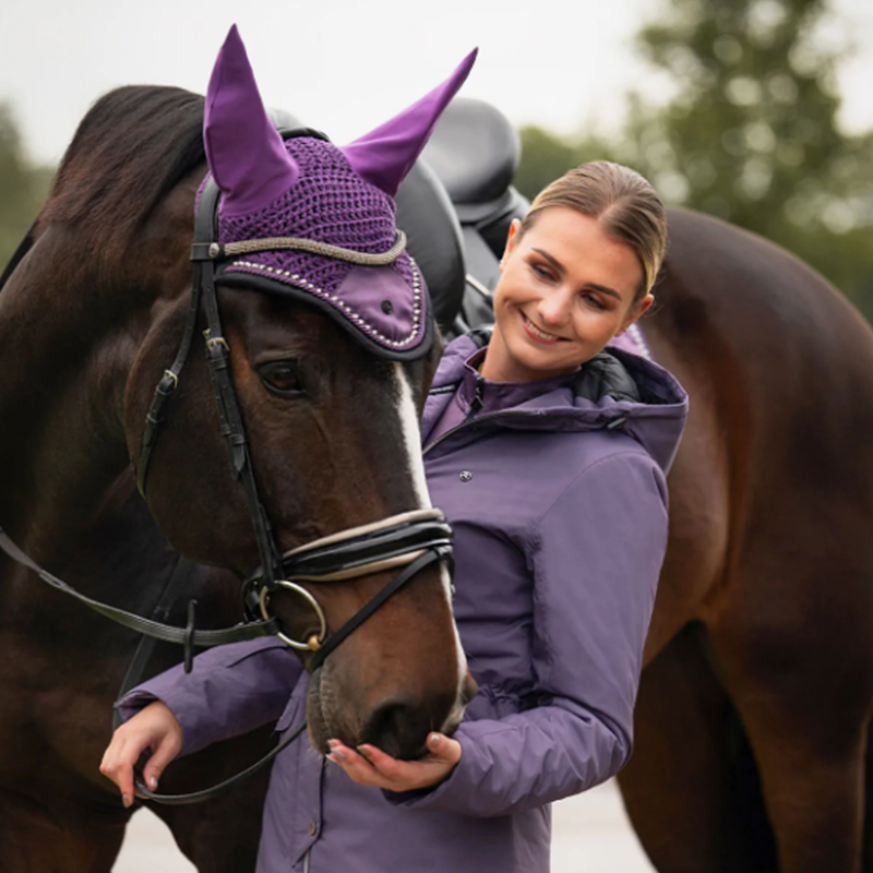 QHP Browband Fayen - Silver-2