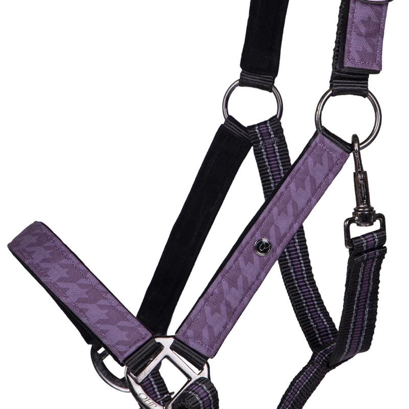 QHP Headcollar Set with Turnout Collection - Amethyst-1