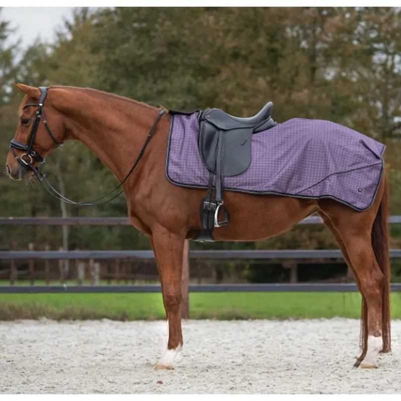 QHP Exercise Sheet Turnout Collection Fleece - Amethyst