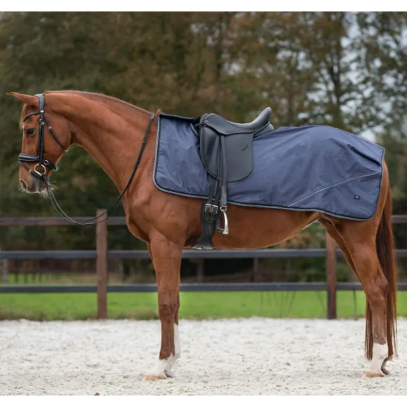 QHP Exercise Sheet Turnout Collection Fleece - Sapphire