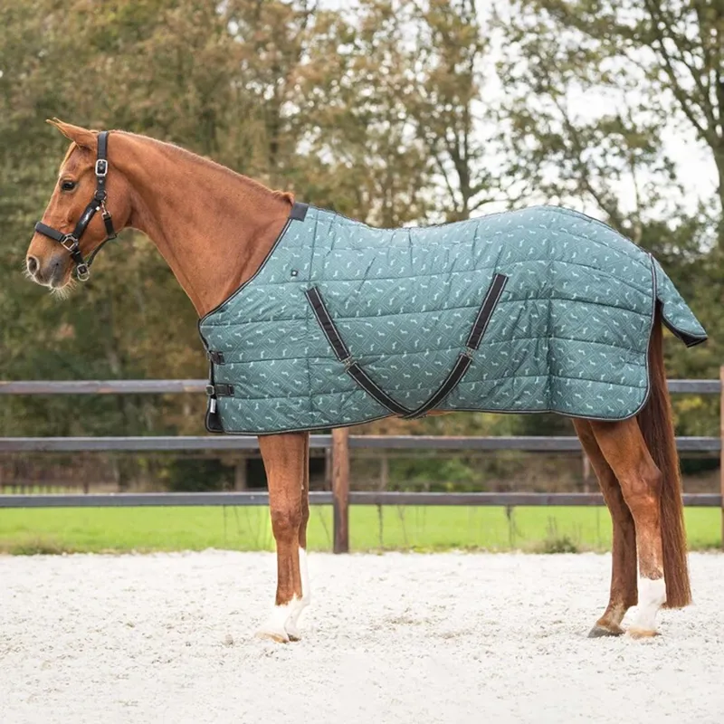 QHP Stable Rug Start Collection 200g - Emerald