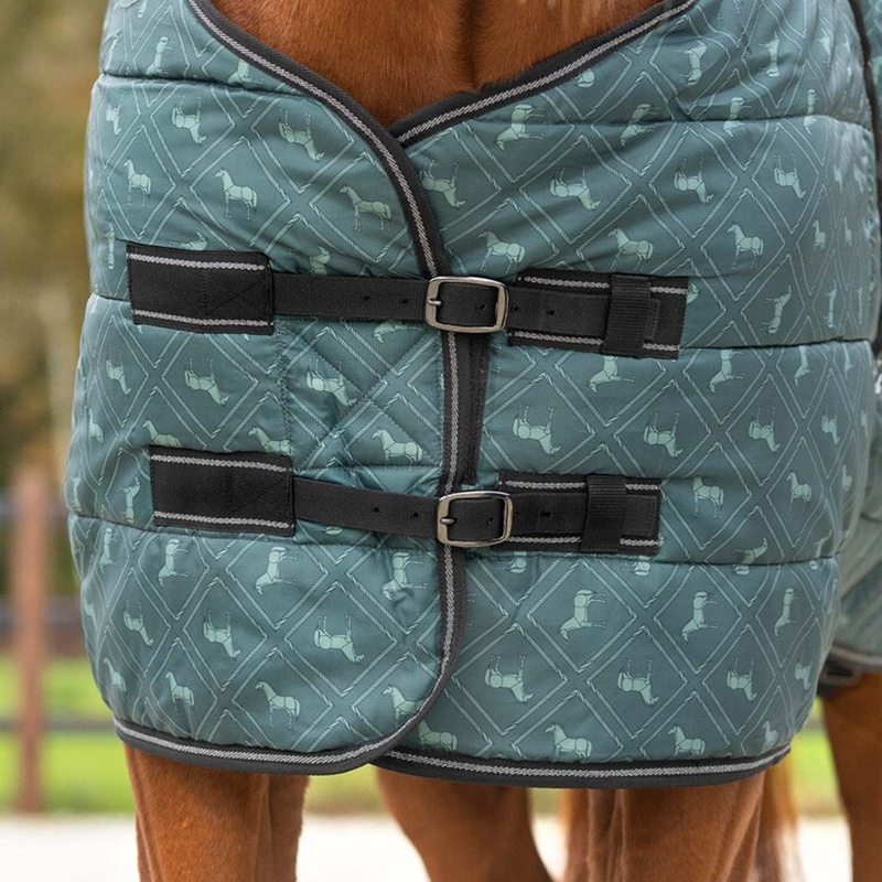 QHP Stable Rug Start Collection 200g - Emerald-2