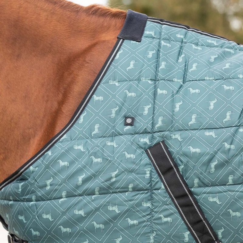 QHP Stable Rug Start Collection 200g - Emerald-3