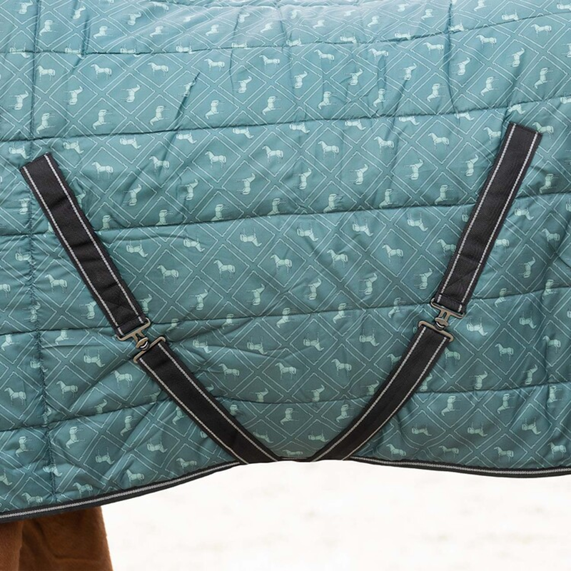 QHP Stable Rug Start Collection 200g - Emerald-4