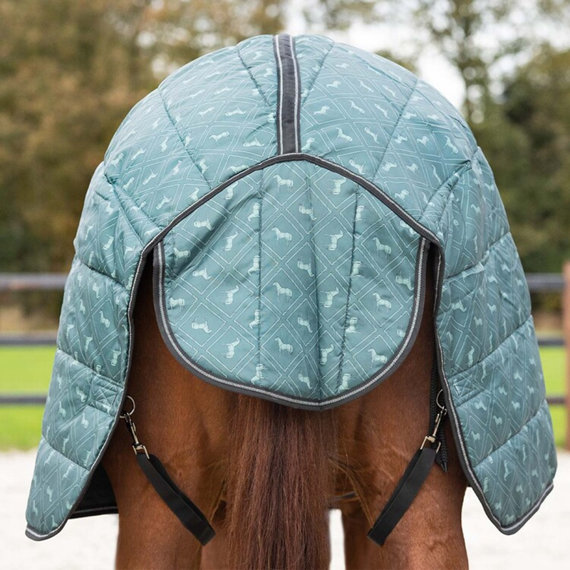 QHP Stable Rug Start Collection 200g - Emerald-5
