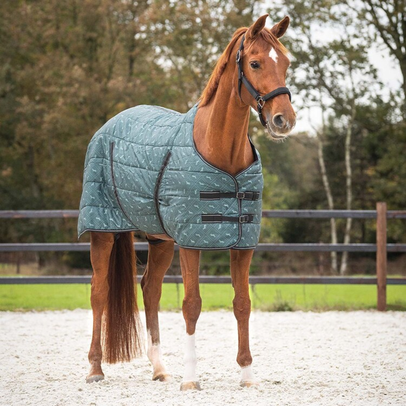 QHP Stable Rug Start Collection 200g - Emerald-1