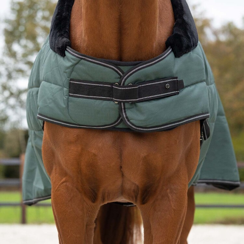 QHP Stable Rug Avélie 200g - Jungle Green-2