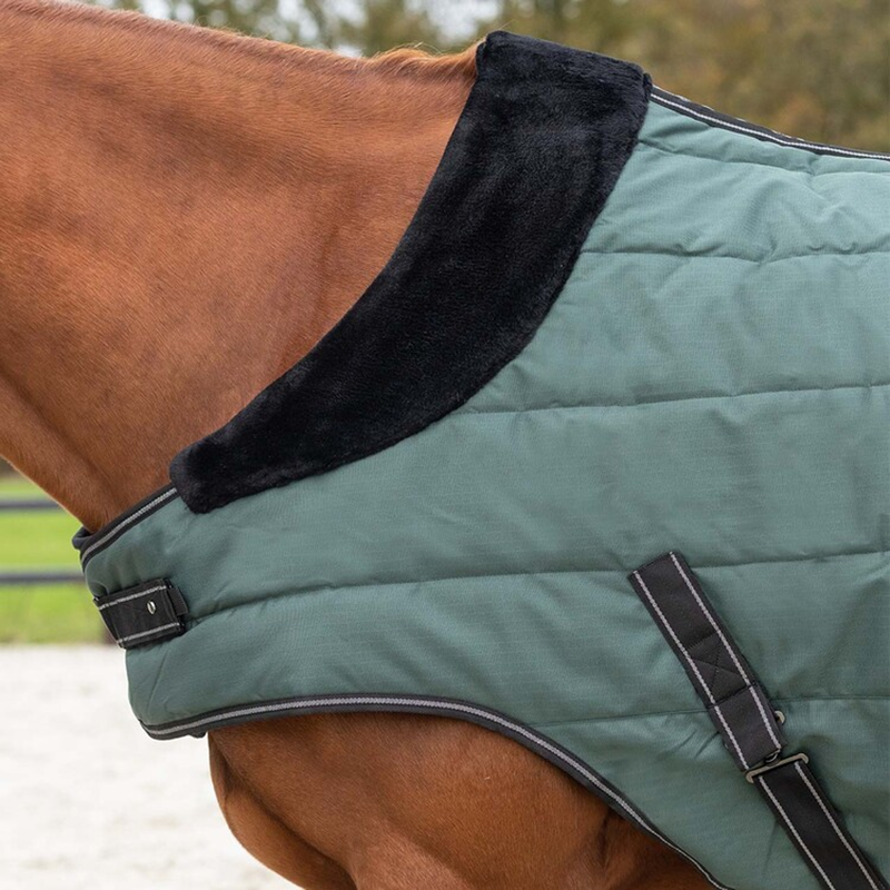 QHP Stable Rug Avélie 200g - Jungle Green-3